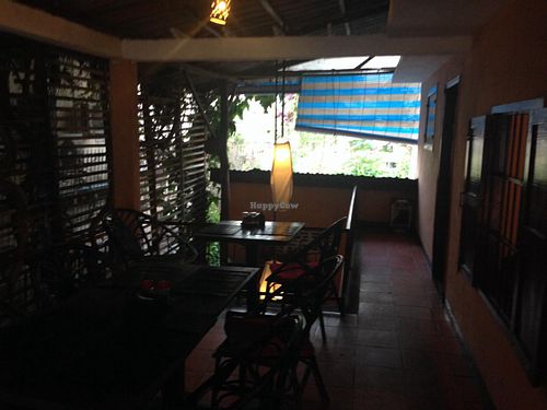 garden out back  at Holy Cow in Sihanoukville