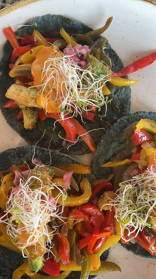 Vegan tacos  at Na-Ha Restaurante in Valle De Bravo