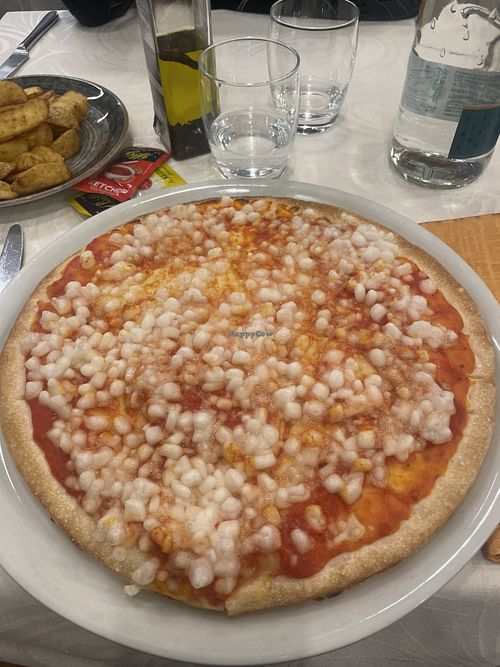 Pizza margherita  at Fior Di Pizza Di Romano in Arese