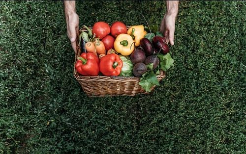 Great organic veggies in Nicaragua! #Veganuary at Yocate Farm  in Jinotepe