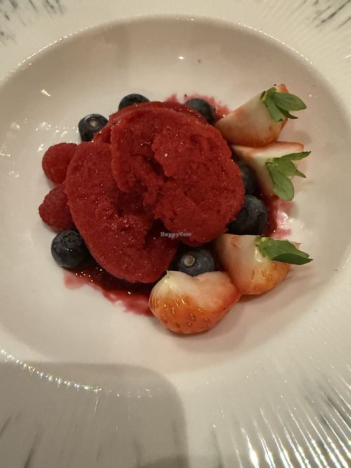 Sorbet with berries  at Restauracja Elixir in Warsaw