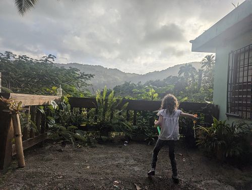 Gorgeous views, and Noelia gave our kid bubbles and toys while we waited for our meal.  at Noelia's in Naguabo