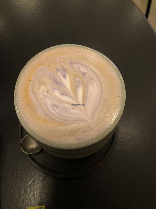 UBE latte   at DRACHE Specialty Coffee Bar in Brussels