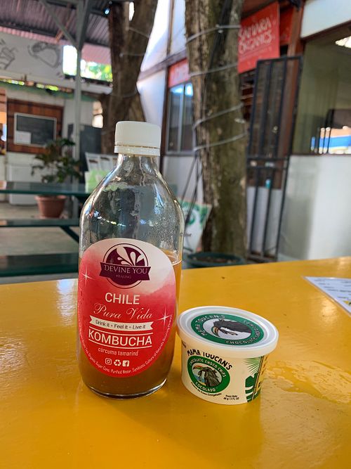 Kombucha and vegan ice cream!  at Samara Organics in Samara