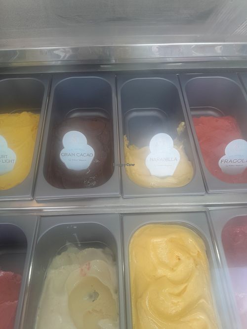 El gran cacao es el mejor helado de chocolate! at Sorbetto Urdesa in Guayaquil