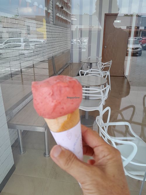 Frutilla at Sorbetto Urdesa in Guayaquil