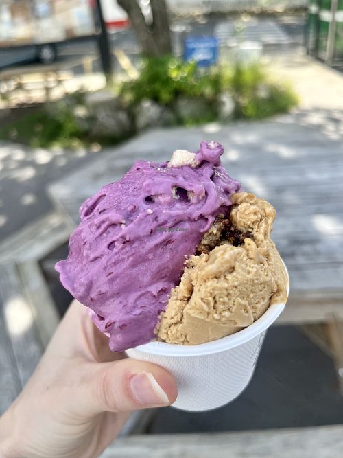   at Hahei General Store in Hahei