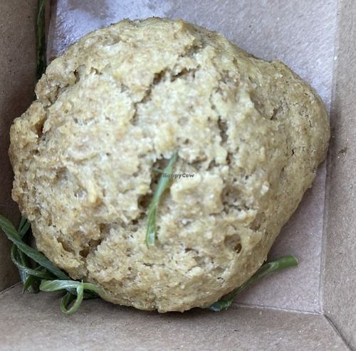 Biscuit  at Handlebar in Chicago