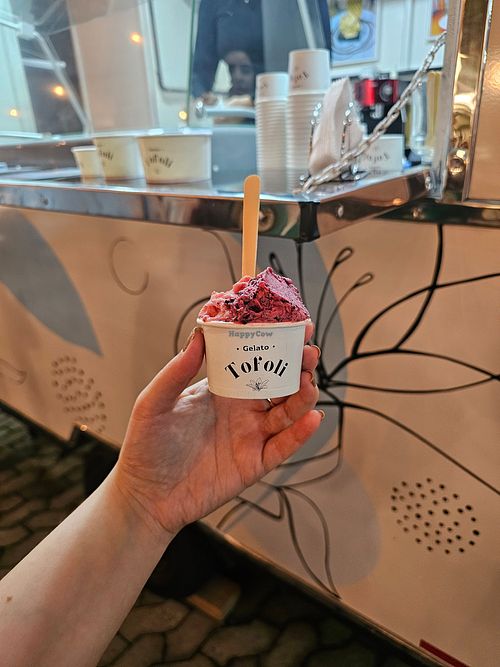 Gelato de morango e amora sem açúcar at Tofoli Gelato in Santa Teresa