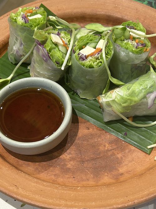 Fresh spring rolls with tofu  at Ginger Farm Kitchen in Phuket