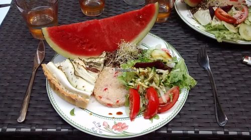 Dish of the day at La Revolution Verte in Perpignan