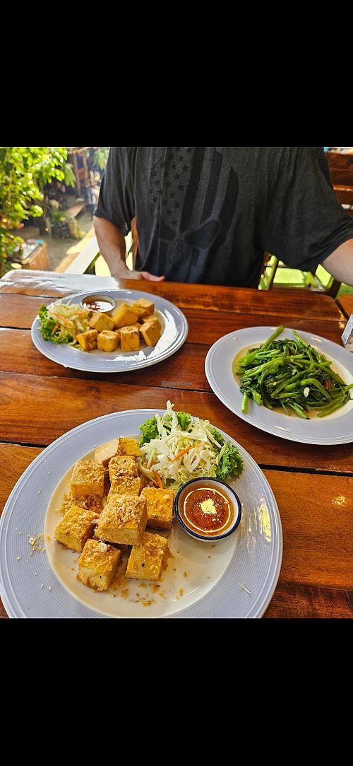 Fried tofu with garlic, fried tofu (both served with sweet chilli sauce) and  Morning glory vegan version at Railay The Corner in Krabi