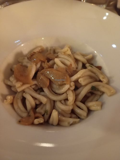 Vegan pasta with mushrooms at Bravo Caffè in Bologna