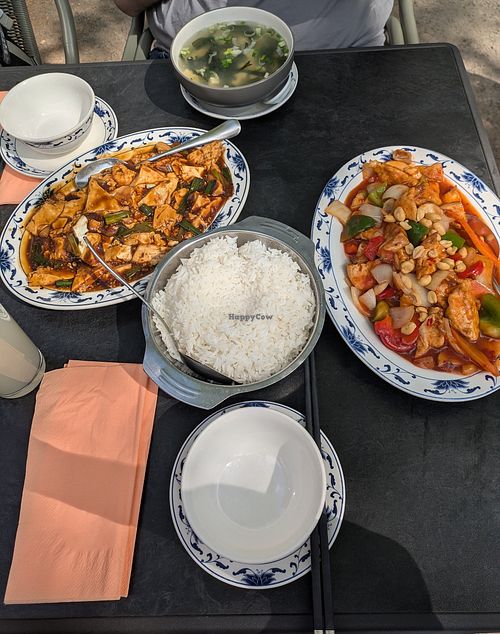 Links: Nr. 44 „Tofu gebraten mit Lauchzwiebeln“, Rechts: Nr. 55 „Yangda Tofu nach Gong-Bao Art“ at Yangda Restaurant - Passagehof in Karlsruhe