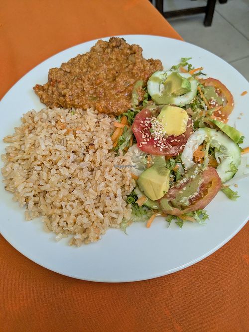 Mock meat, salad, rice at Viva Sano in Floridablanca