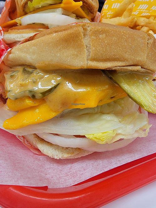 Fancy at FACE PLANT in Portland