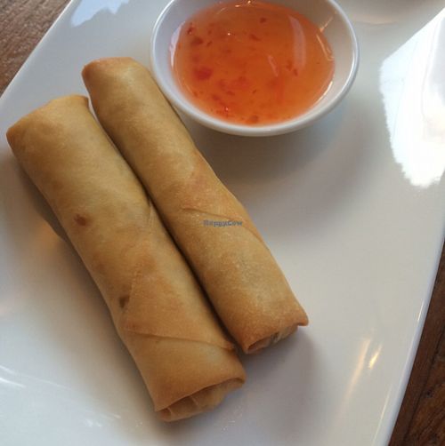 spring rolls at Shin Hwa in Hildesheim