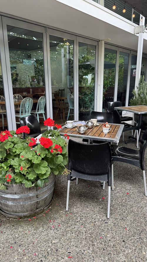  #Veganuary at River Kitchen in Nelson