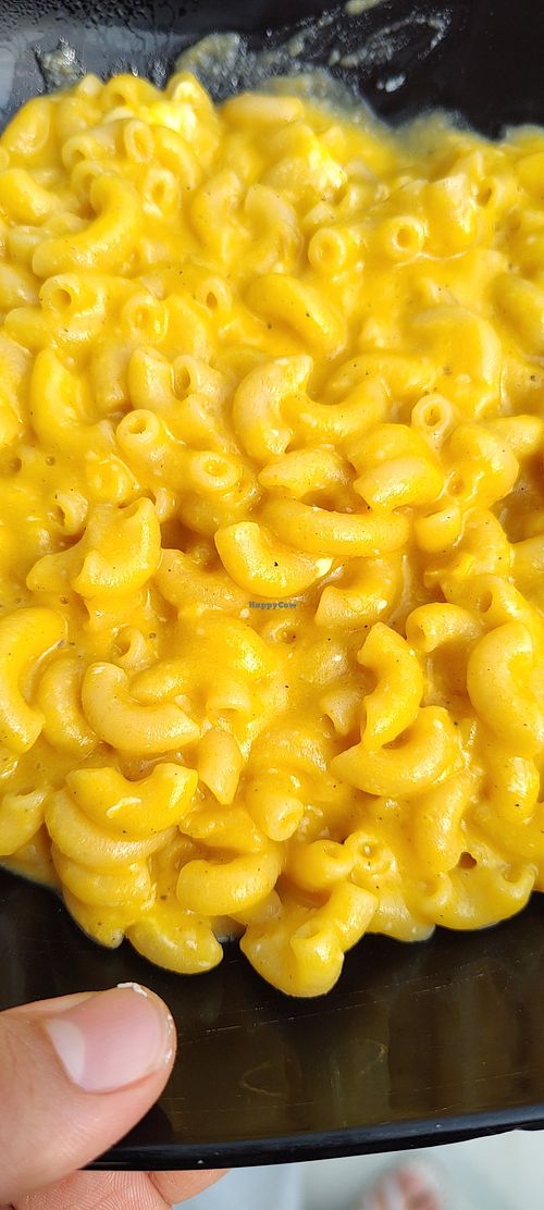 Macarrones con queso de papa #Veganuary at Tomilla Tomates  in Mexico City