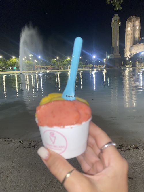 They had a few vegan options, I had to strawberry and mango and it was so so good! Already thinking about going back tomorrow and trying other flavours  at Lucky Helado Tenerife in Tenerife