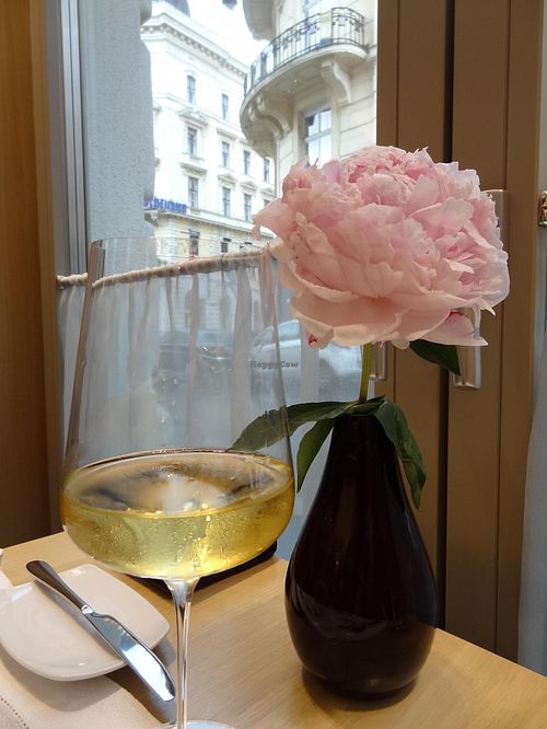 lovely interior and ambiance at TIAN Bistro Kunsthaus in Vienna