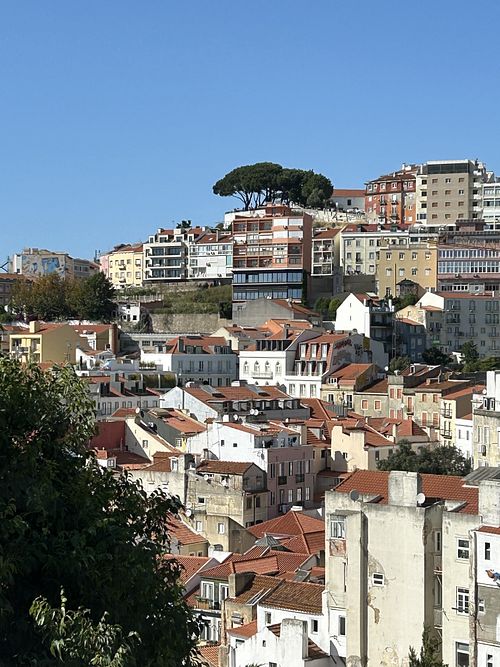 View  at Café Da Garagem in Lisbon