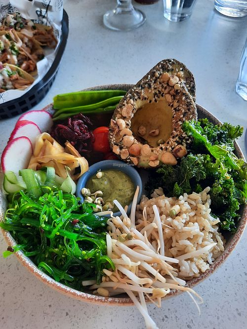 The Bird Bowl at Penny Whistlers in Kiama