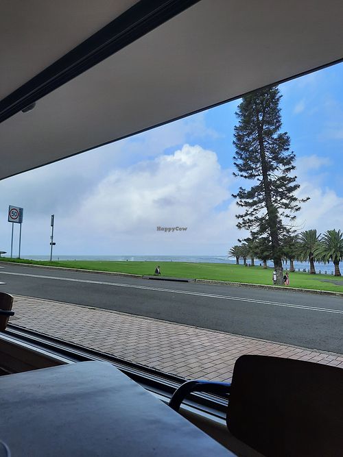 View from the restaurant at Penny Whistlers in Kiama