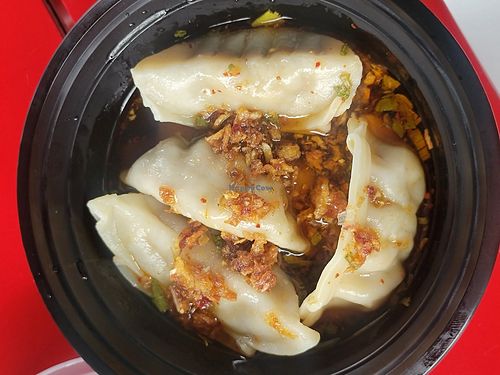 Veggie dumplings #Veganuary at Dang Dude in Tampa