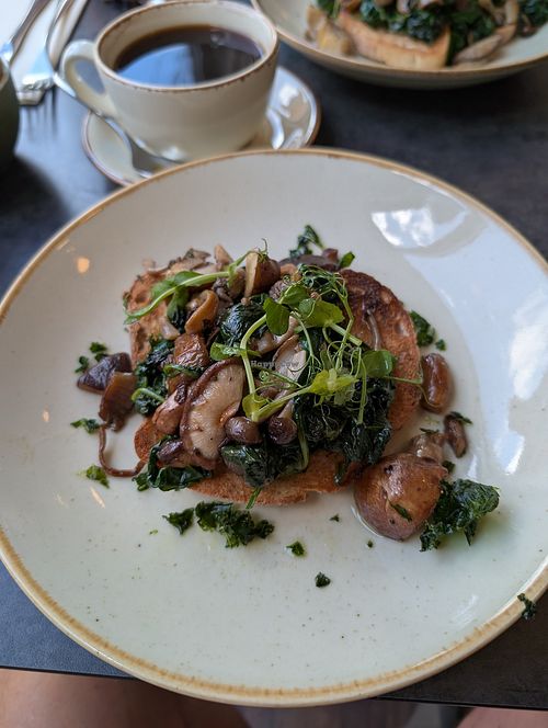  at Madelines of Aylsham in Norwich