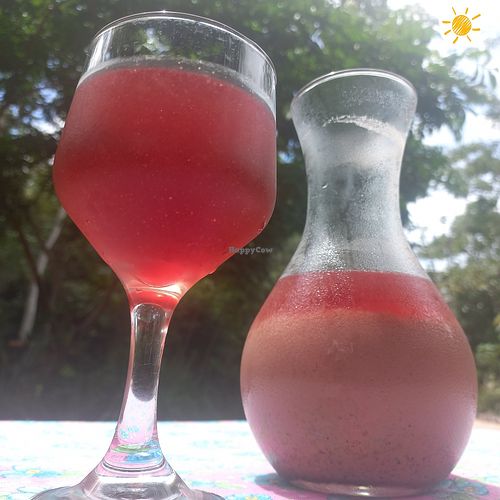 #Veganuary at Tribo do Sol in Alter Do Chao