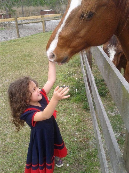Tours are very animal interactive! at CJ Acres Animal Rescue Farm in Keystone Heights