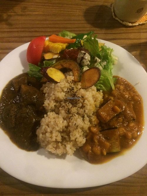 Interior, and the curry plate at Cafe Rappa in Tokyo