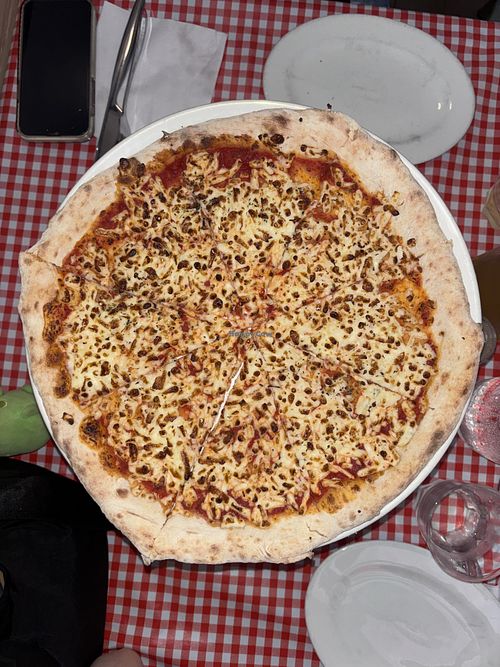 vegan cheese pizza (off menu)  at Bill & Toni's in Darlinghurst