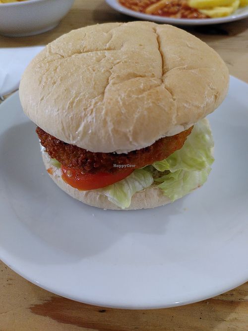 Vegan burger with salad (January 2025) at The Animalarium in Ceredigion