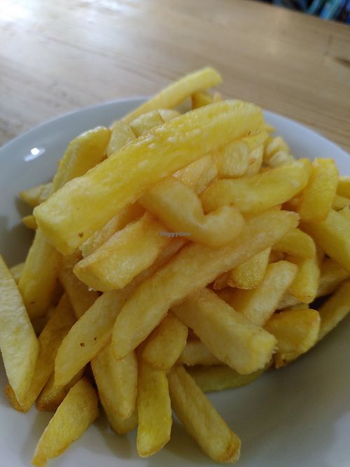 Chips! (January 2025) at The Animalarium in Ceredigion