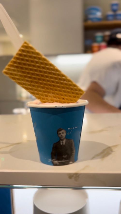 Vegan chocolate ice cream, vegan raspberry sorbet, wafer   at Joe's Ice Cream - St Helen's Rd in Swansea