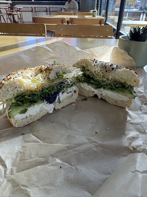   at Goldstein's Bagels & Bialys in Boise