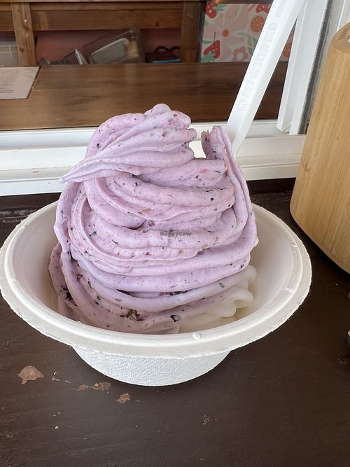 Blueberry coconut. Most fruit is organic    at Seaside Swirls Real Fruit in Kapaa