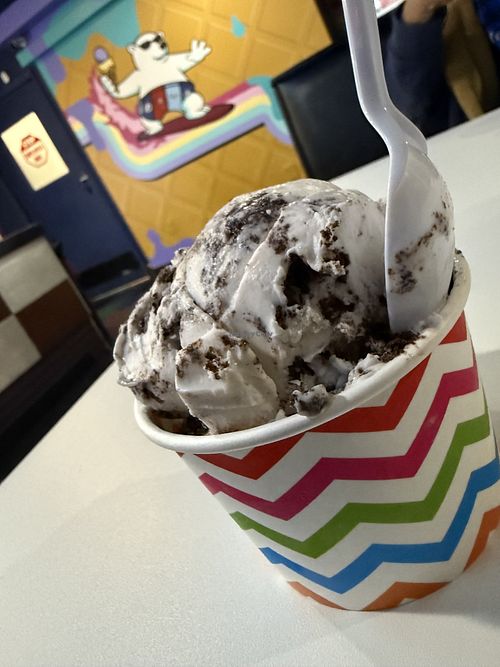 Oreo vegan ice creamm  at Tanya & Matt's Ice Creamiest in Tampa