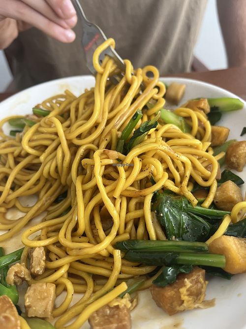 Tofu yellow noodles  at Komol Corner 7 in Phang Nga