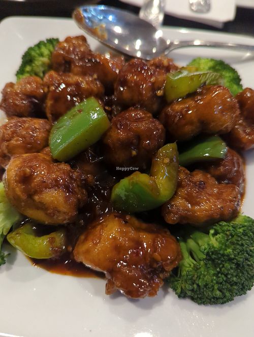  at Veggie Garden in Mountain View