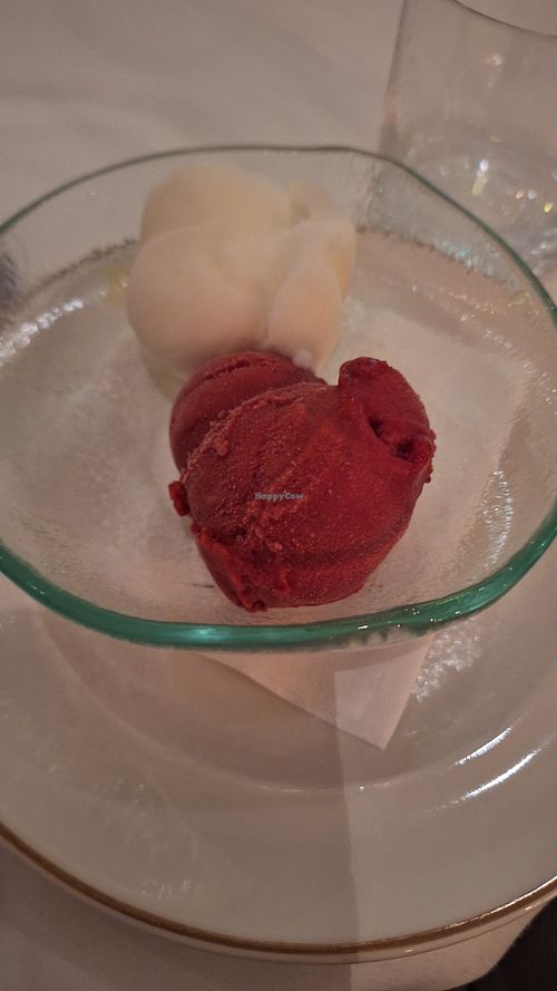 Vegan Ice cream at Scalini in Dubai