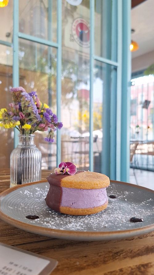  at Café Zapopan in Zapopan