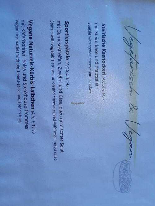 Vegan rice-pumkin party's with fries and salsa at Alpengasthof Grimmingblick in Planneralm