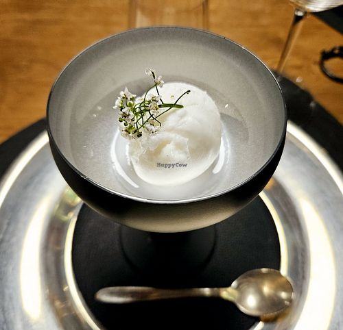 Holunder sorbet at Restaurant al-pine Sölden in Soelden