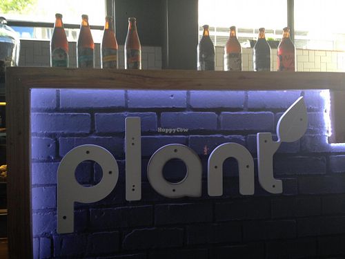 At Night at Plant in Cape Town