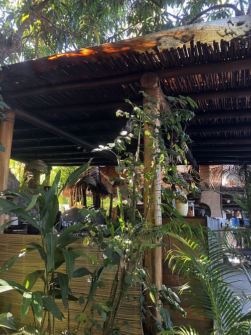   at Ritual Cocina de Fuego in Puerto Vallarta