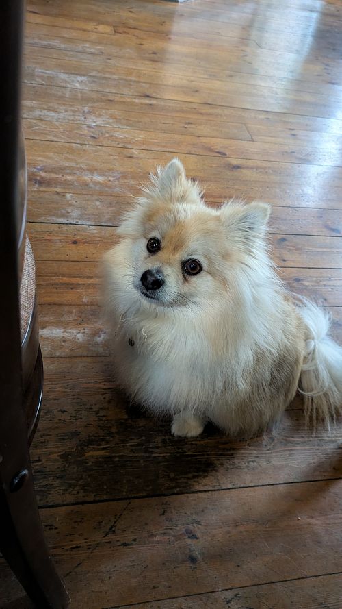  at The Cocoanut in Kingston Upon Thames