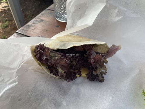   at Jammwich  in Wilderness